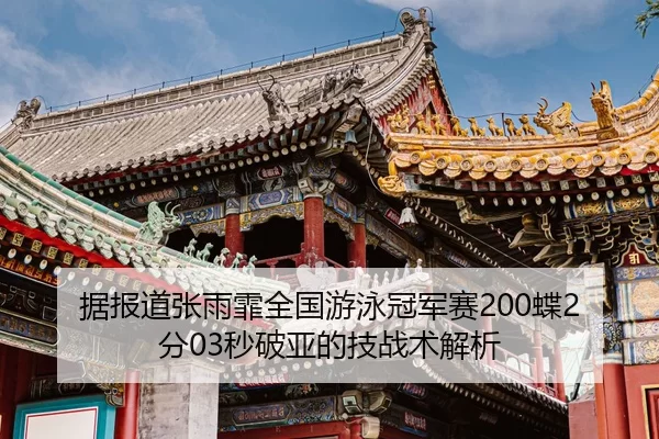 ju-bao-dao-zhang-yu-fei-quan-guo-you-yong-guan-jun-sai-die-fen-miao-po-ya-de-ji-zhan-shu-jie-xi-2-747.jpg
